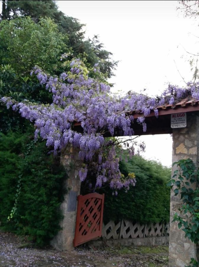 Willa Casa Das Glicinias Perto Do Centro Monte Verde  Zewnętrze zdjęcie